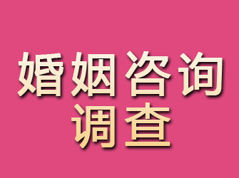 平陆婚姻咨询调查